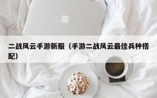 二战风云手游新服（手游二战风云最佳兵种搭配）